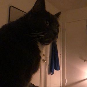 Meet your Posher, James